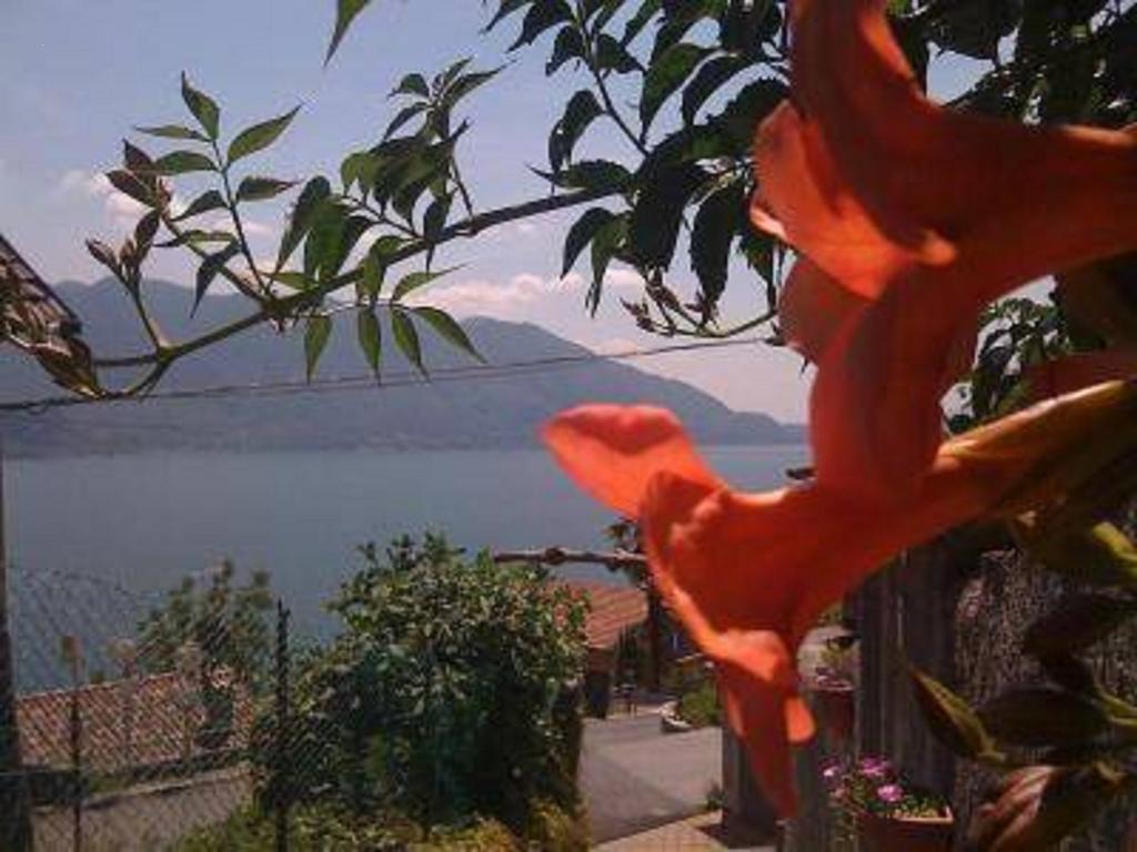 Home Sweet Home Lakeview Oggebbio Bagian luar foto